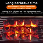 Barbecue (BBQ) Charcoal
