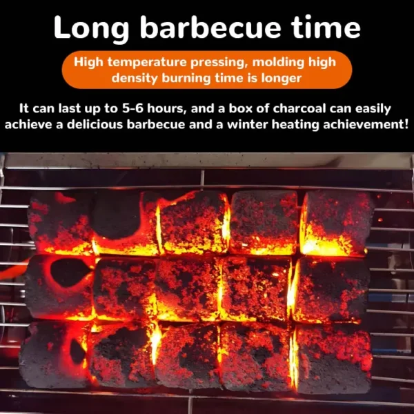 Barbecue (BBQ) Charcoal