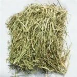 ALFALFA HAY