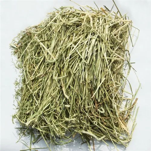 ALFALFA HAY