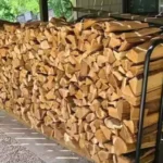Beach firewood