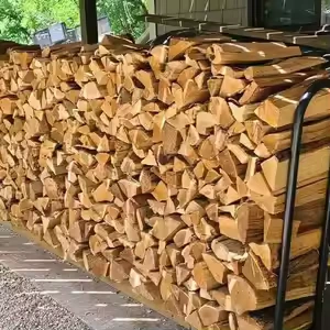 Beach firewood