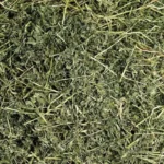 ALFALFA HAY
