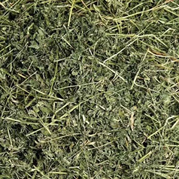 ALFALFA HAY
