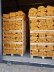 Kiln dried firewood in 20 l bags