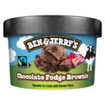BEN & JERRY'S ICE CREAM TUB CHOCOLATE FUDGE BROWNIE 100ML