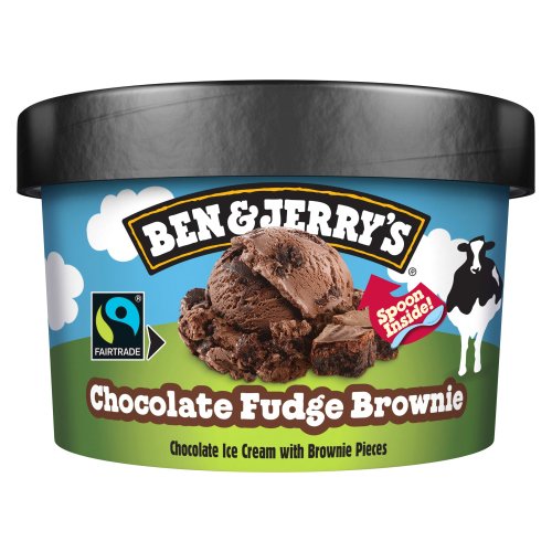 BEN & JERRY'S ICE CREAM TUB CHOCOLATE FUDGE BROWNIE 100ML