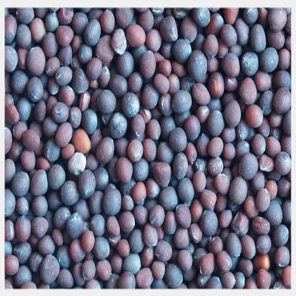 Cotton seed