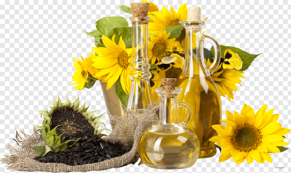 Quality Edible Sunflower Oil
