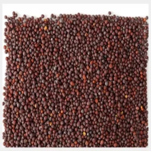 Mustard Seed