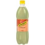 Schweppes Citrus - 1 Bottle (500ml)