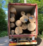 Birch Logs