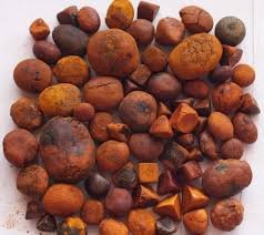 Cow Ox Gallstone