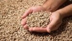 Wood Pellets Briquettes