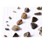 OX Gallstone