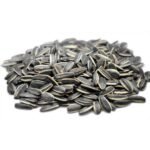 Sunflower Seed
