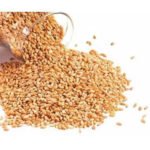 Wheat